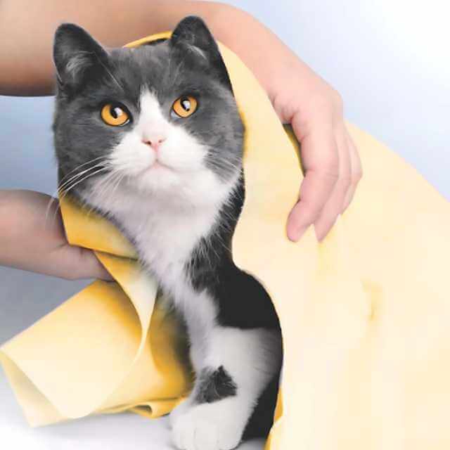 Toalha PVA Ultra Absorvente para Pets – Seca até 10x mais rápido + Estojo