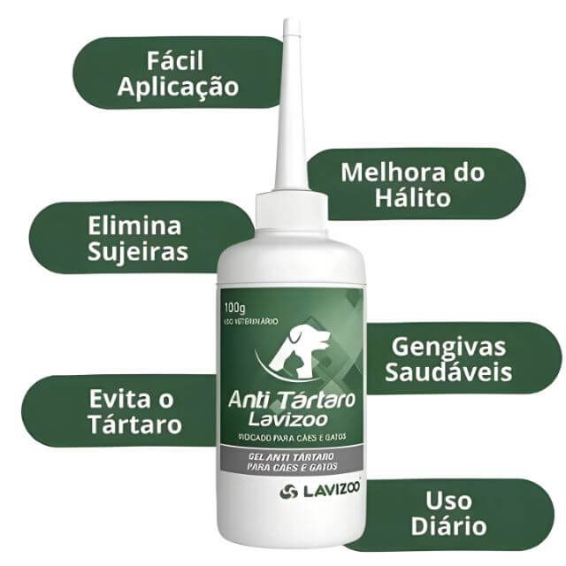 Tratamento Dental Pet | Caneta, Lavizoo e Ultrassônico – ForPatas
