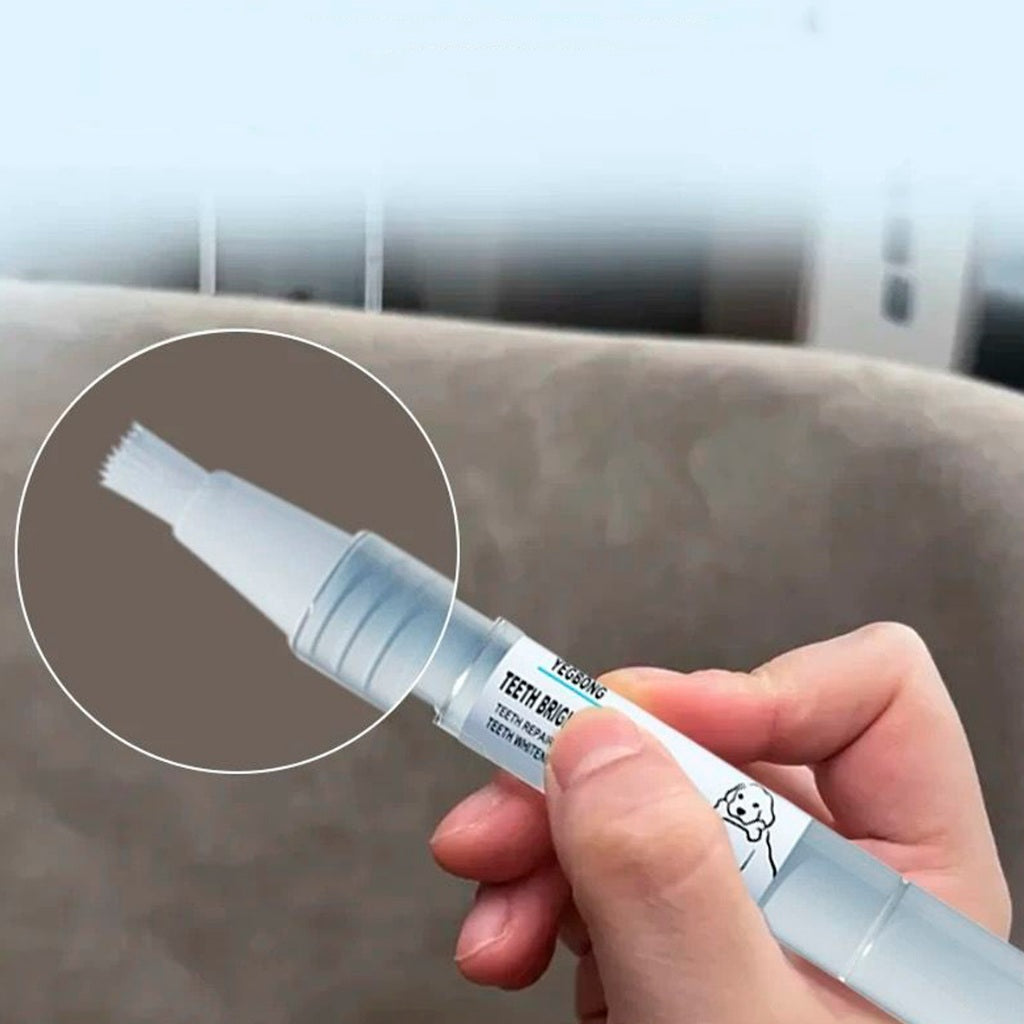 Tratamento Dental Pet | Caneta, Lavizoo e Ultrassônico – ForPatas