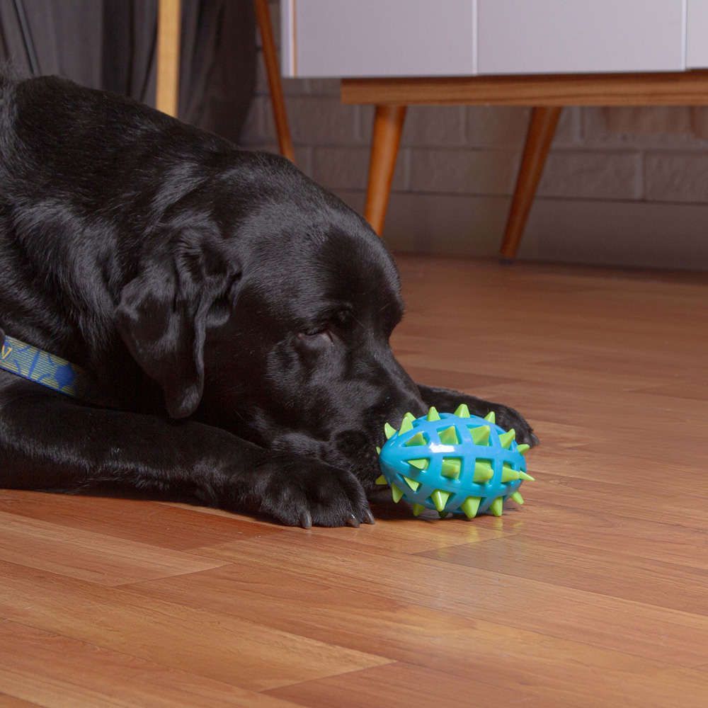 Bola Mordedor Rugby com Spikes e Apito – Brinquedo Resistente para Cães