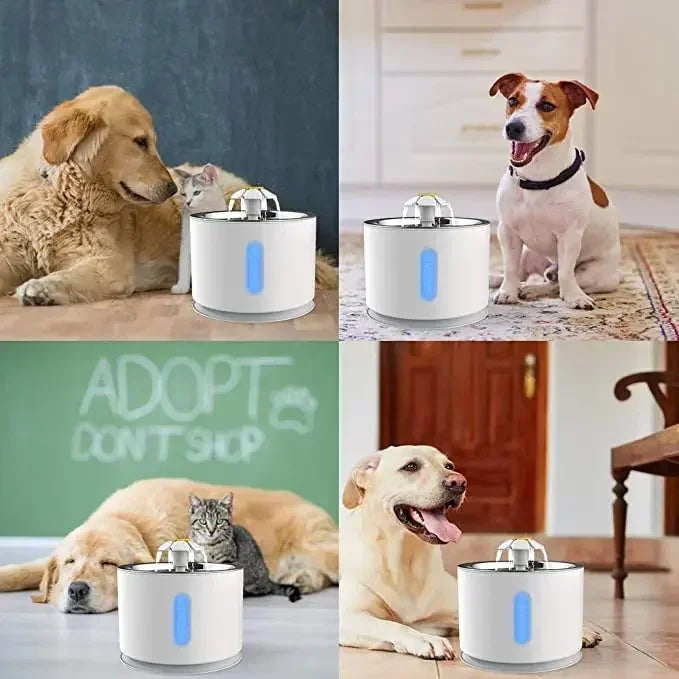 Bebedouro Automático Para Gatos Com Filtro De Carvão USB - FC©