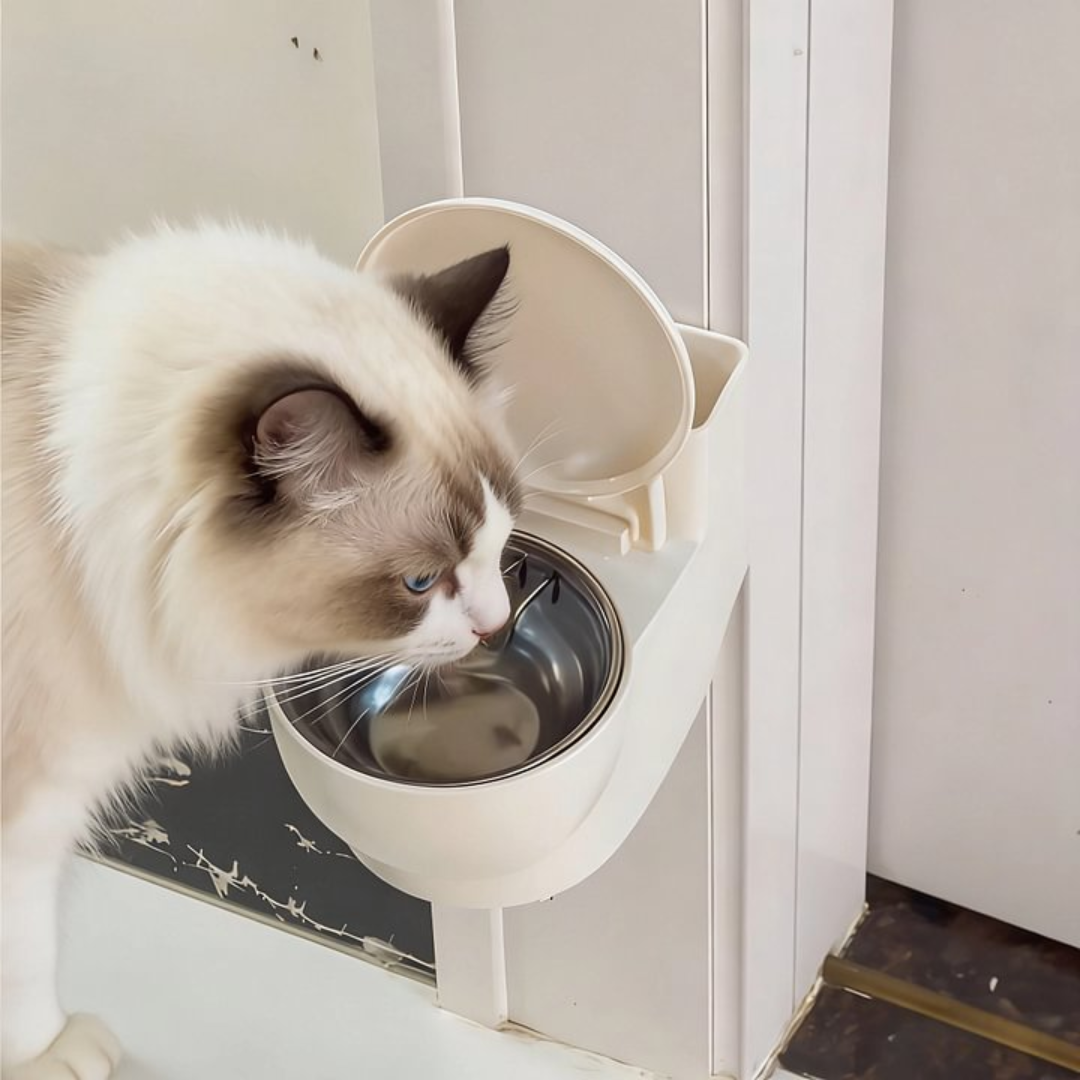 Bebedouro Privada para Gatos
