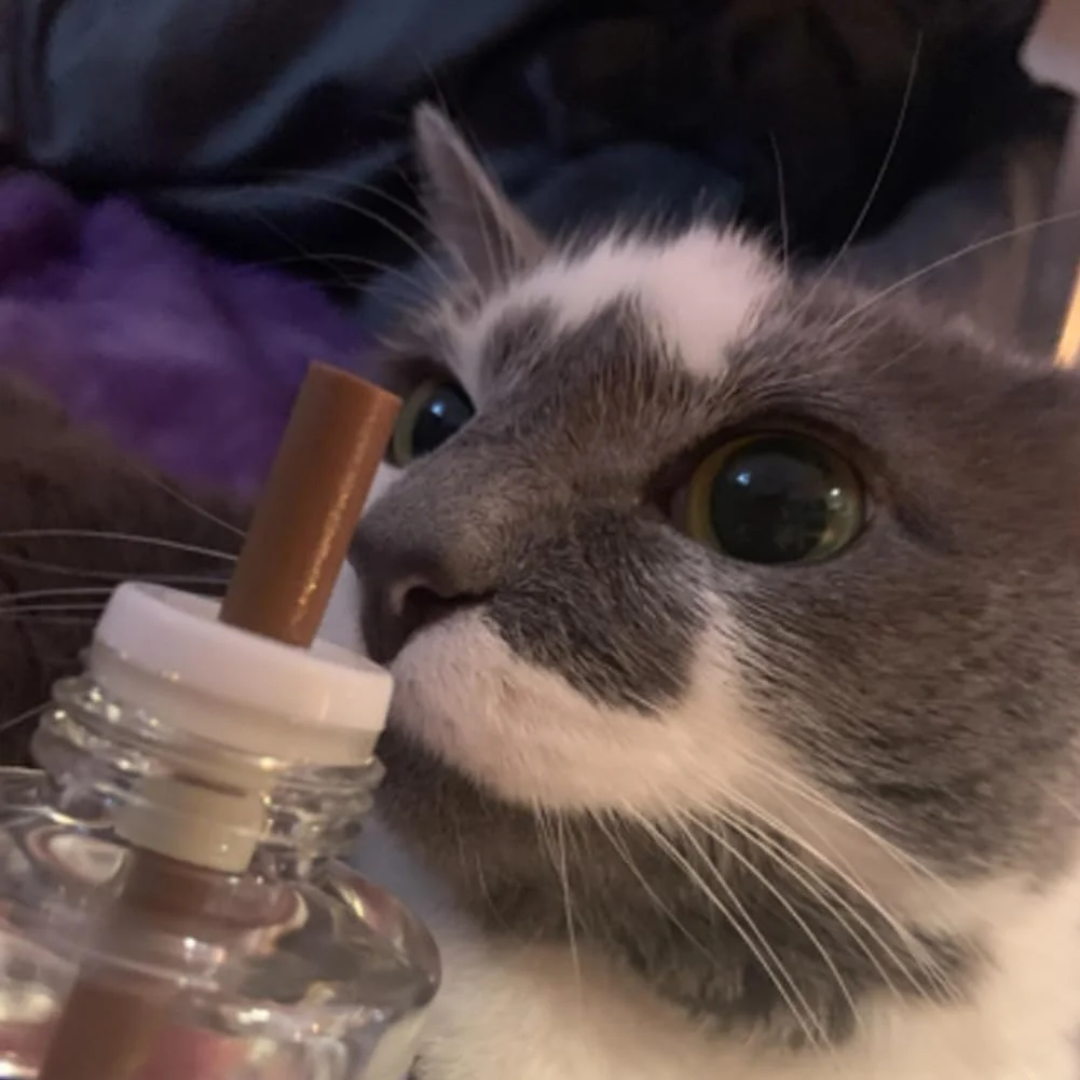 Difusor de Feromônios Calmantes para Gatos