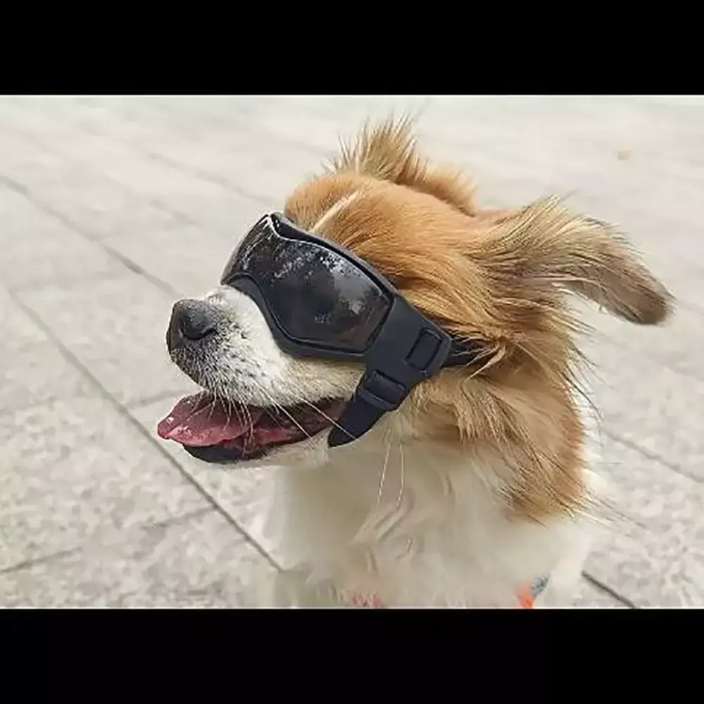 Óculos De Sol Para Pets Proteção UV Conforto - FC©