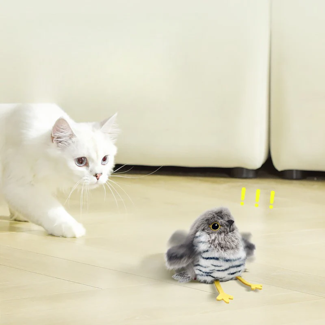 Brinquedo Pássaro Elétrico Recarregável para Gatos