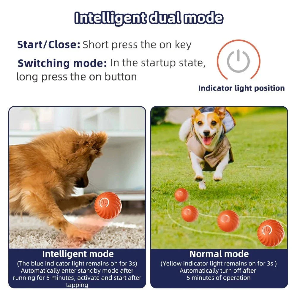 Bola Eletrônica Interativa Móvel USB para Pets – Lupzy™ | Diversão Inteligente e Anti-Tédio