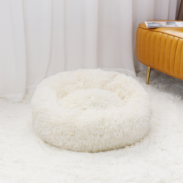 Caminha Nuvem para Pets