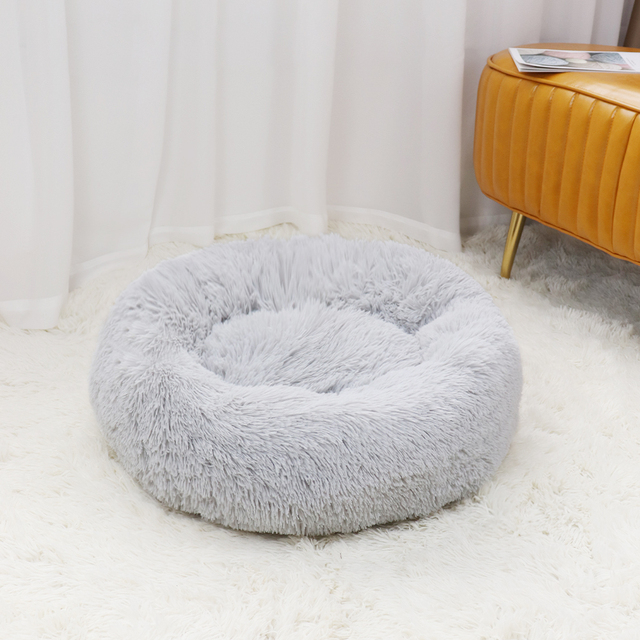 Caminha Nuvem para Pets