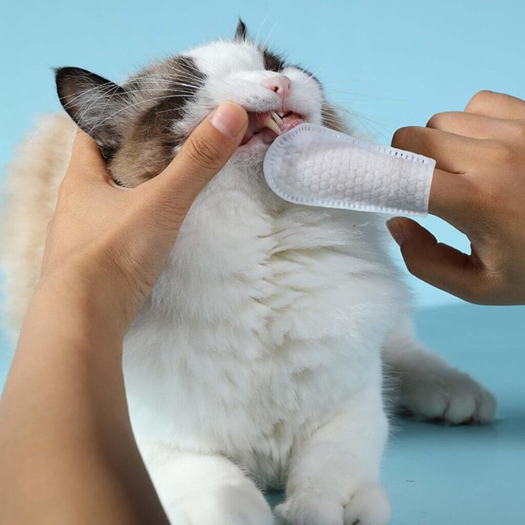 Lenço de Limpeza Dental para Cães e Gatos
