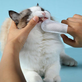 Lenço de Limpeza Dental para Cães e Gatos