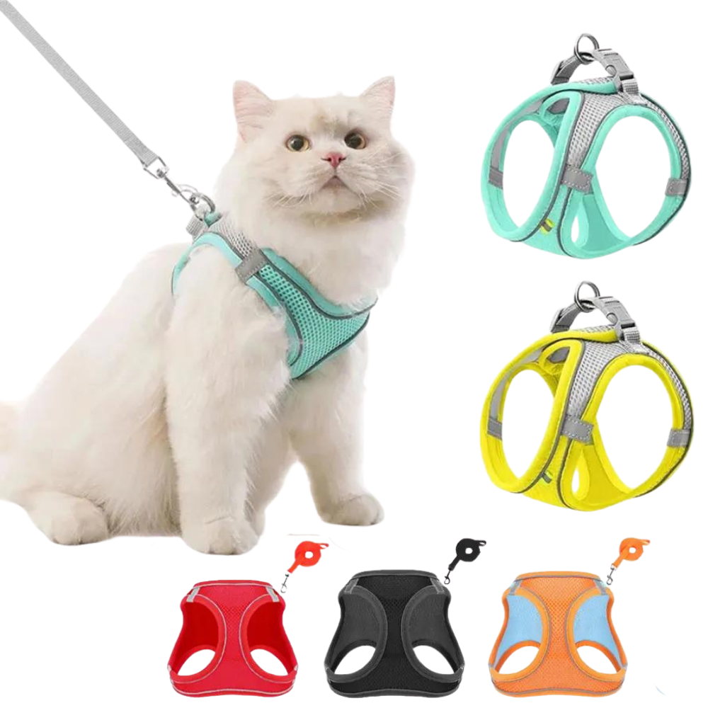Peitoral Ajustável com Guia para Gatos