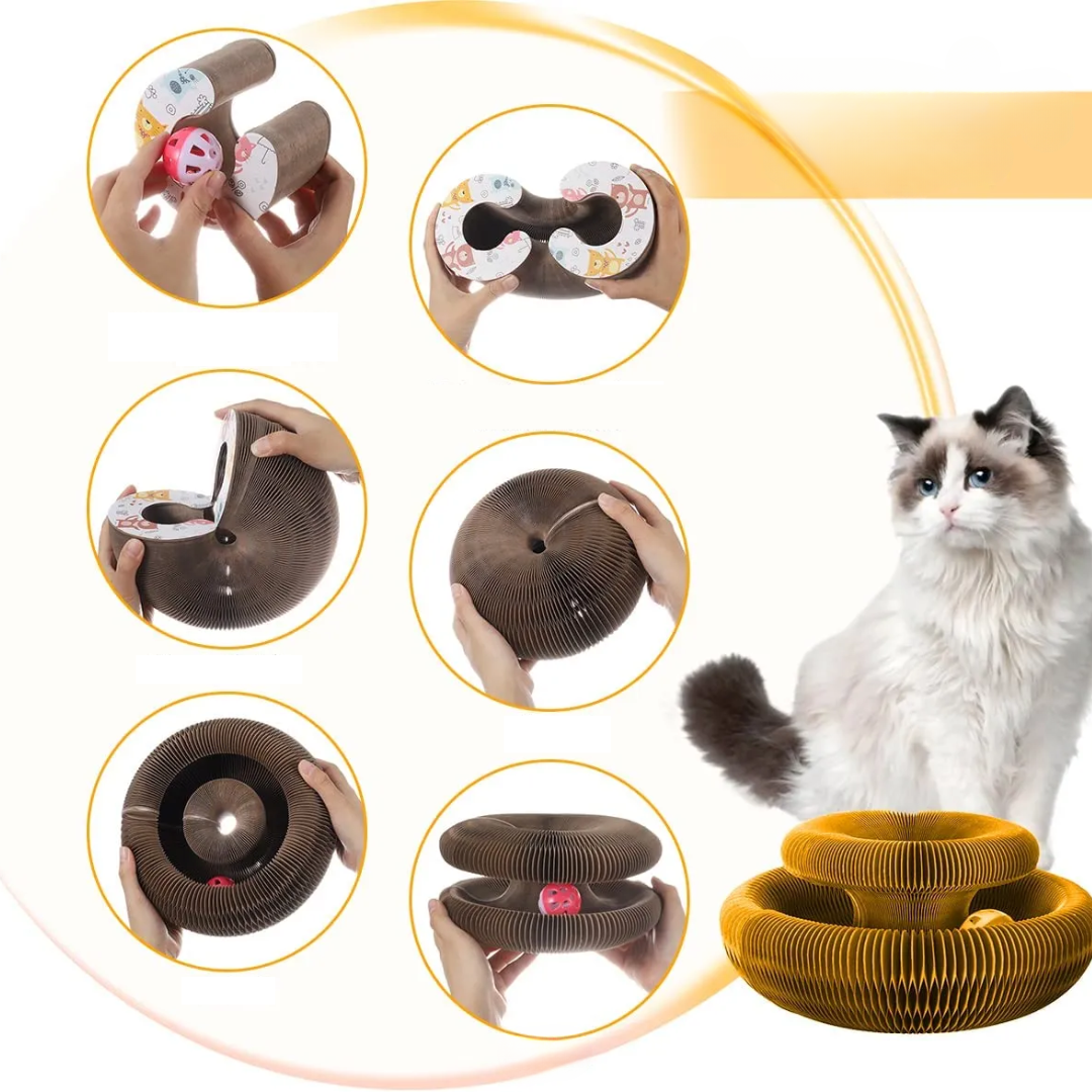 Brinquedo Disco Arranhador com Bolinha – Diversão, Enriquecimento e Alívio do Estresse – Lupzy™