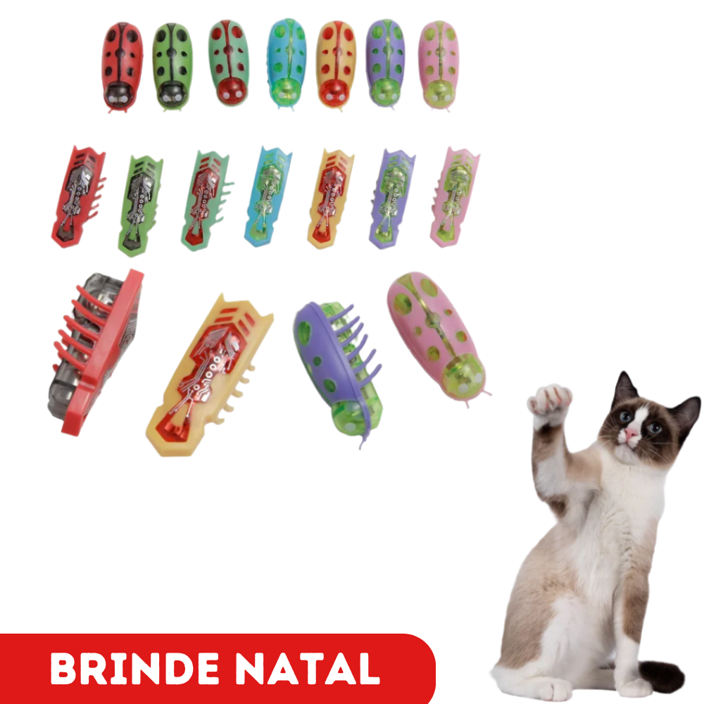 Brinquedo Inseto Elétrico para Gatos