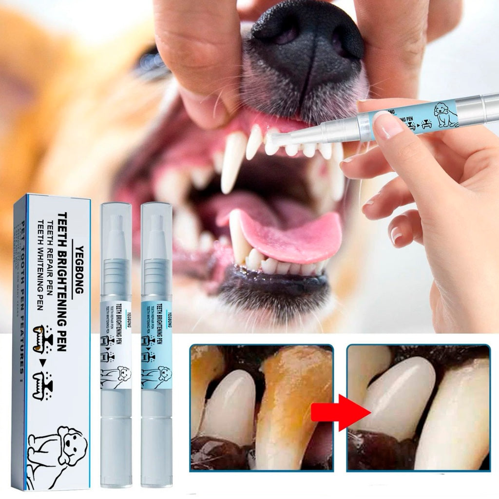 Tratamento Dental Pet | Caneta, Lavizoo e Ultrassônico – ForPatas