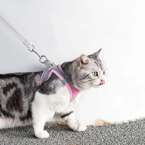 Peitoral Ajustável com Guia para Gatos