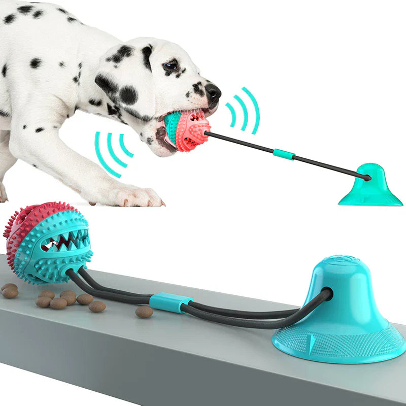 Brinquedo Mordedor com Ventosa para Cães – Limpeza Dental e Diversão | ForPatas