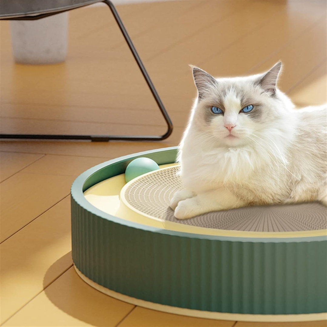 Brinquedo Arranhador Interativo com Bolinhas para Gatos