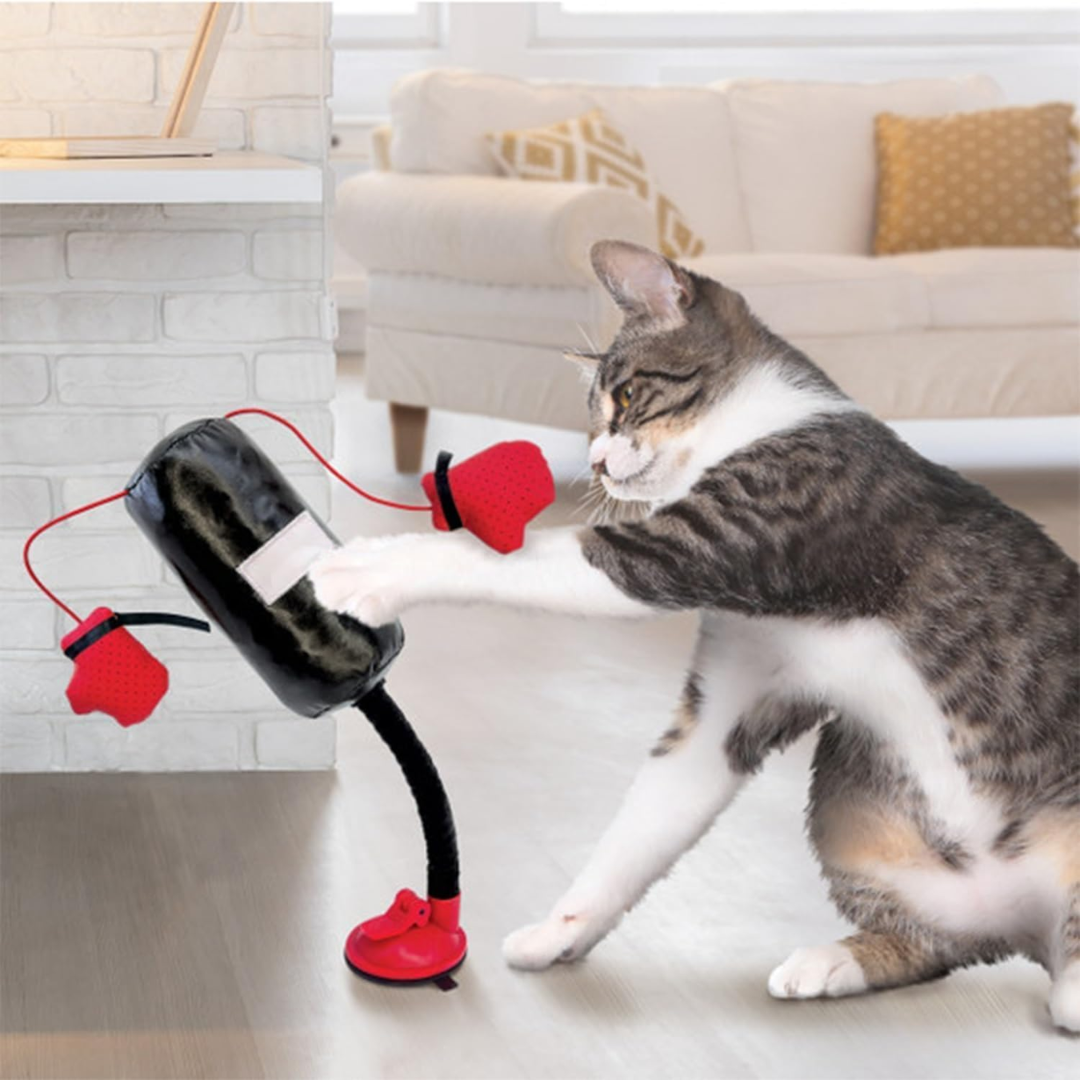 Brinquedo Interativo de Boxe com Catnip para Gatos
