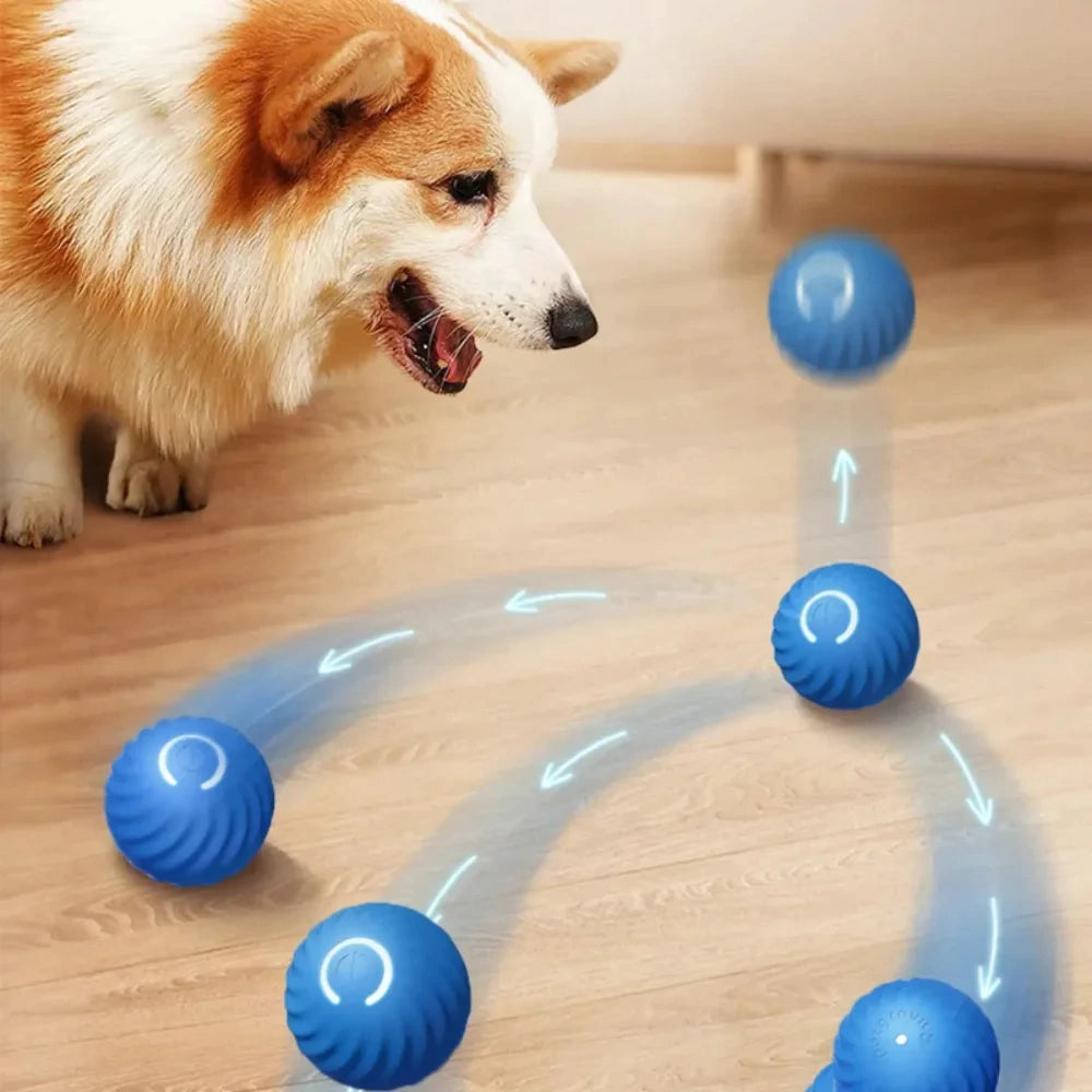 Vex Motion Mini – Bola Interativa para pets