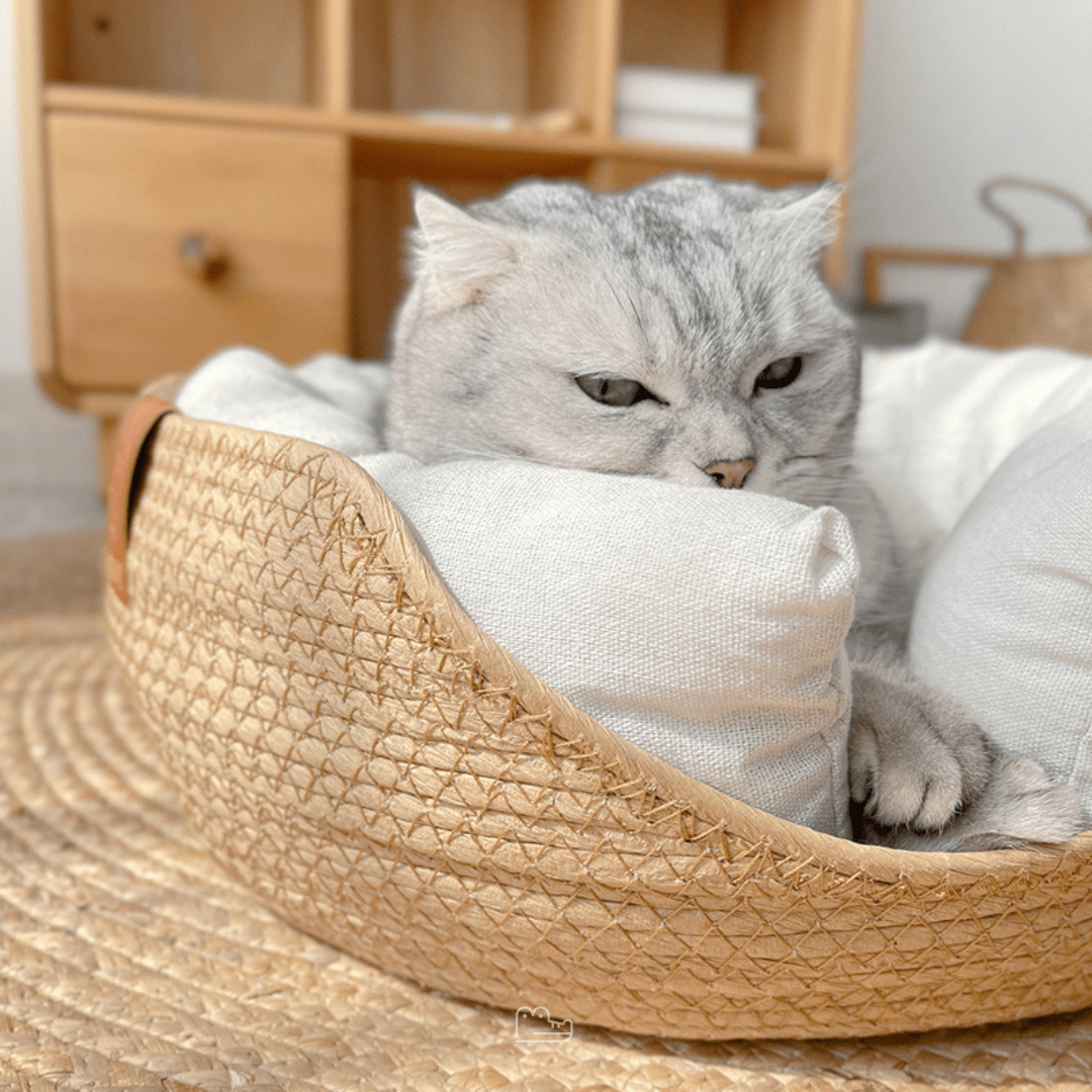 Cama Artesanal de Bambu Elegance™  - Elegância Para sua Casa, Conforto Para o seu Pet