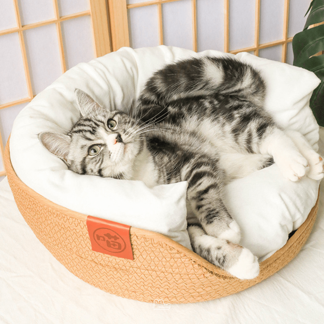 Cama Artesanal de Bambu Elegance™  - Elegância Para sua Casa, Conforto Para o seu Pet