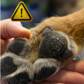 Hidratante para Patas Ressecadas de Cachorro e Gato Lambível CuidaPatinhas