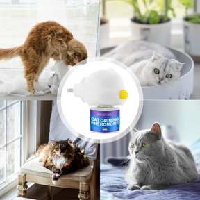 Difusor de Feromônios Calmantes para Gatos