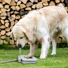 Bebedouro Brinquedo Interativo para Cães de Metal – Água Fresca ao Acionar a Pata | ForPatas