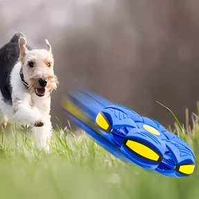 Disco Voador PetFun 2 Em 1 Frisbee e Bola Para Cachorros - FC©