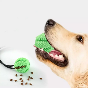 Brinquedo Para Cachorros Interativo Com Ventosa - FC©