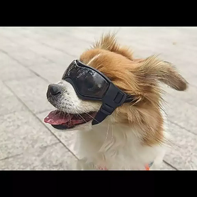 Óculos De Sol Para Pets Proteção UV Conforto - FC©