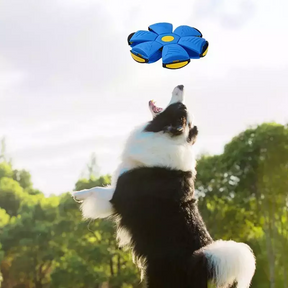 Disco Voador PetFun 2 Em 1 Frisbee e Bola Para Cachorros - FC©