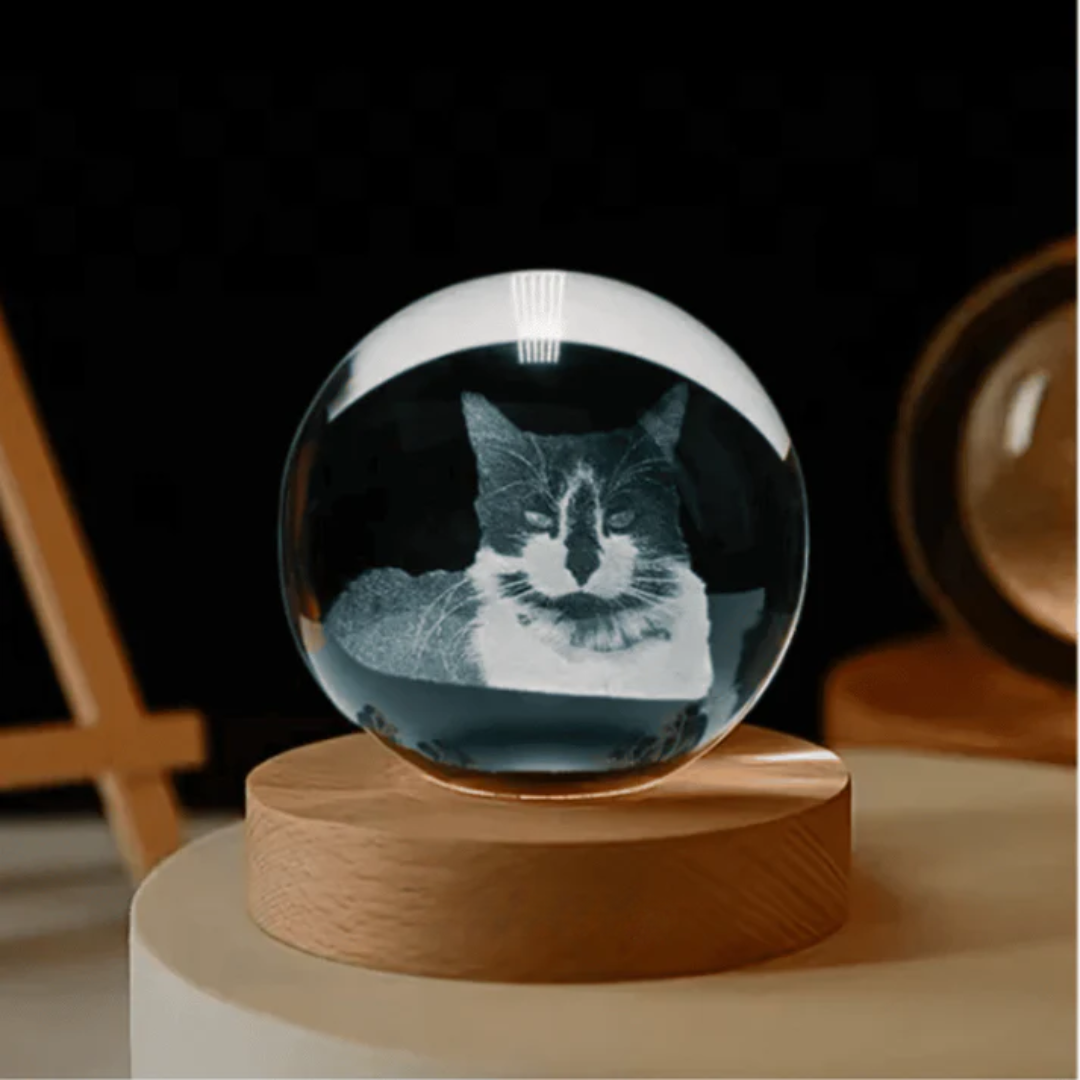 Luminária 3D Personalizável - Com a Foto do seu Gato