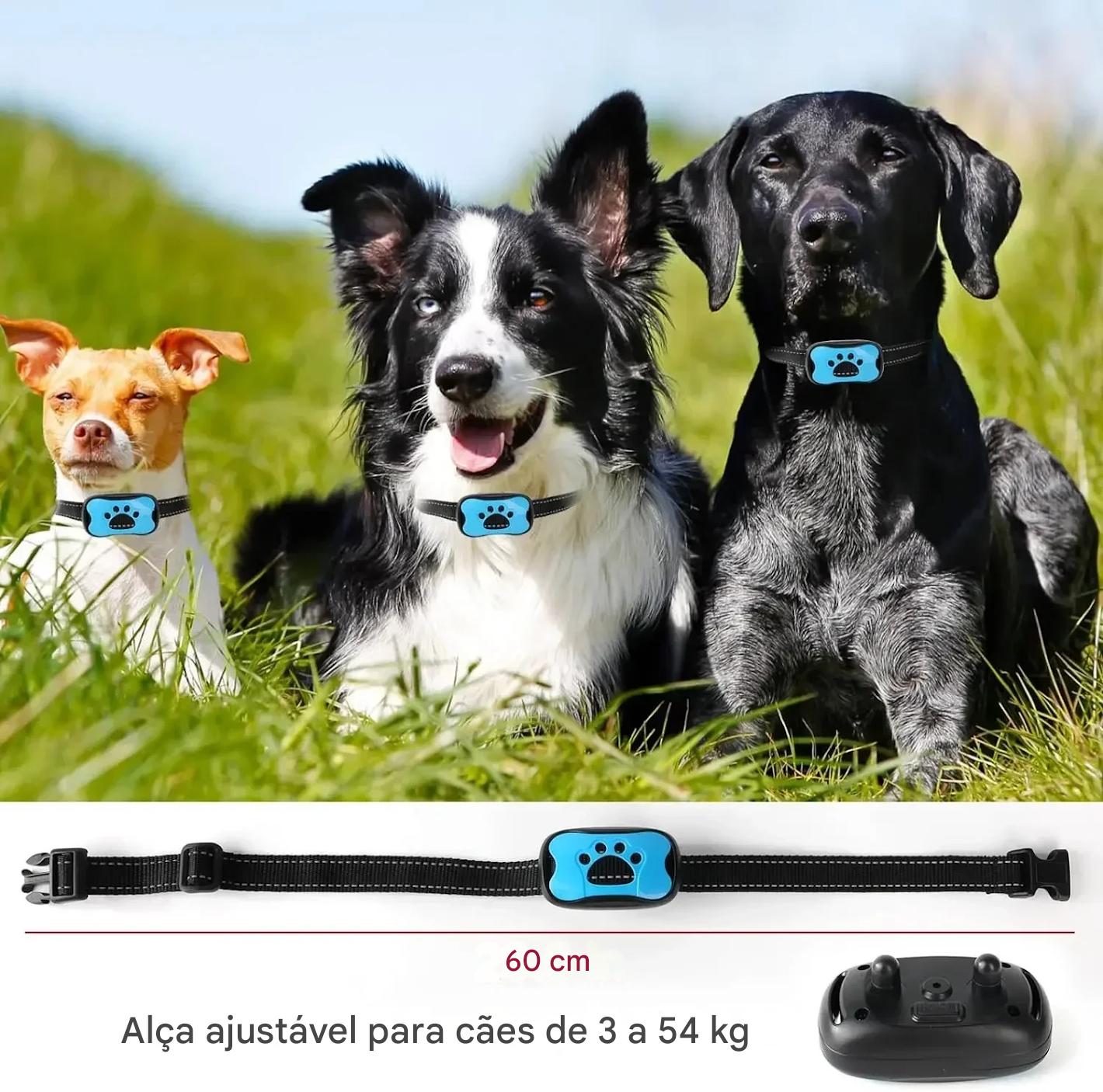 Coleira Anti Latido Ultrassônica Recarregável USB - FC©