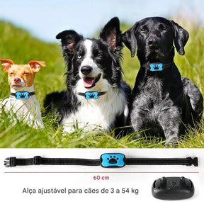 Coleira Anti Latido Ultrassônica Recarregável USB - FC©