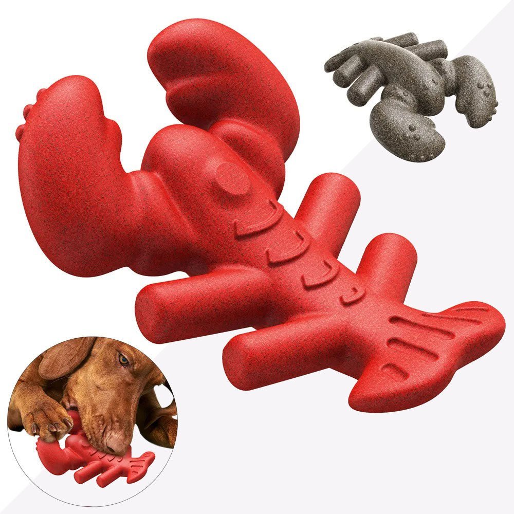 Mordedor Pet Lagosta Ultra Resistente - Woofline™