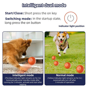 Bola Eletrônica Interativa Móvel USB para Pets – Lupzy™ | Diversão Inteligente e Anti-Tédio