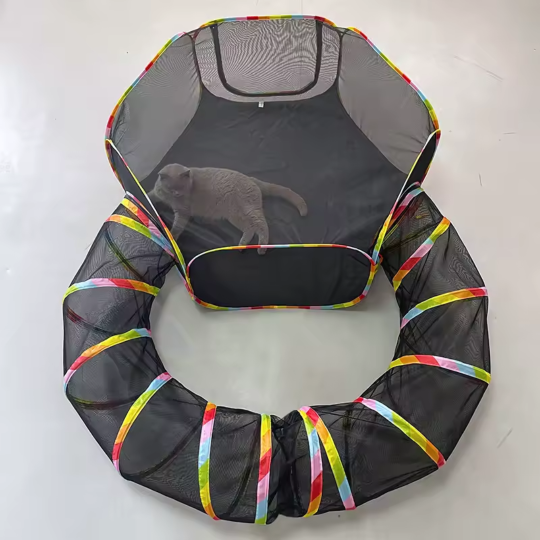 Túnel Portátil com Barraca para Gatos